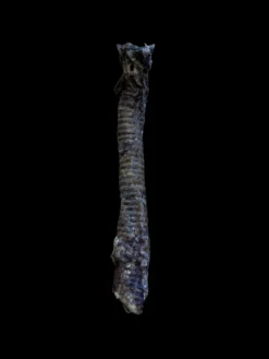 Anco Naturals Goat Tube (Loose)