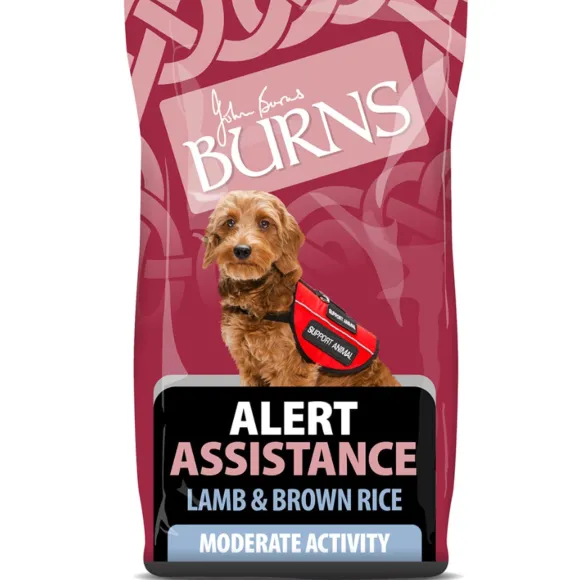 Burns Alert Assistance Adult Dog Food Lamb & Brown Rice, 12kg