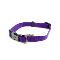 Great & Small Classic Plain Collar