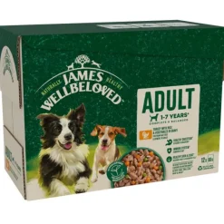 James Wellbeloved Adult Dog Turkey in Gravy Pouch 12 x 90g