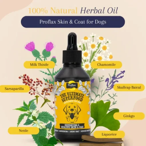 Proflax Skin and Coat for Dogs 250ml