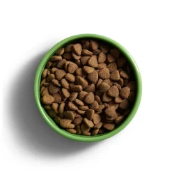 Yora Adult Large Breed Insect Protein Dog Food